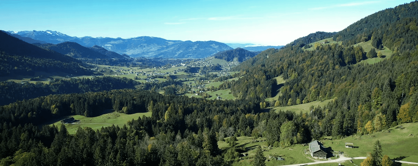 Hölzler forever - Bregenzerwälder Holzschuhe